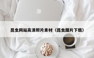 本溪昆虫网站高清照片素材(昆虫图片下载) 本溪昆虫网站高清照片素材(昆虫图片下载)